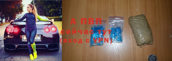 дживик Надым