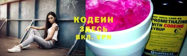 дживик Надым