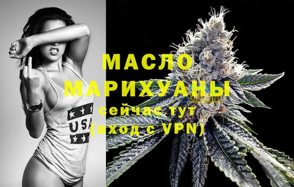 дживик Надым