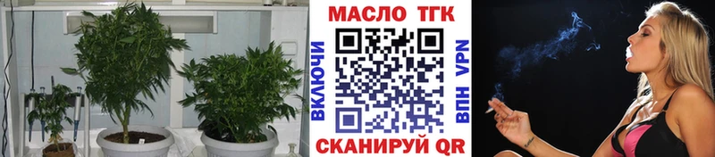 ТГК вейп  Купить закладки  Торопец 