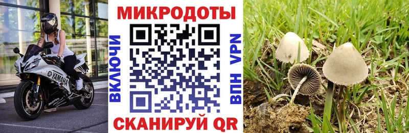 Купить где  Торопец  Галлюциногенные грибы мухоморы 
